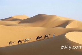 摩洛哥全景11日游-EY