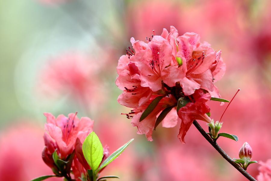 公司团建 员工福利旅游方案