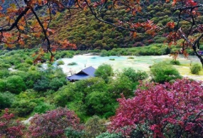 桂林阳朔龙脊梯田5天